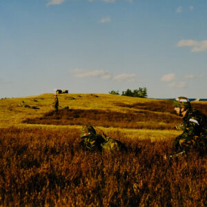 Royal Anglian Regiment