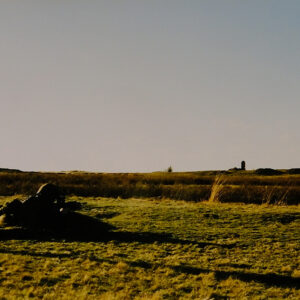 Royal Anglian Regiment