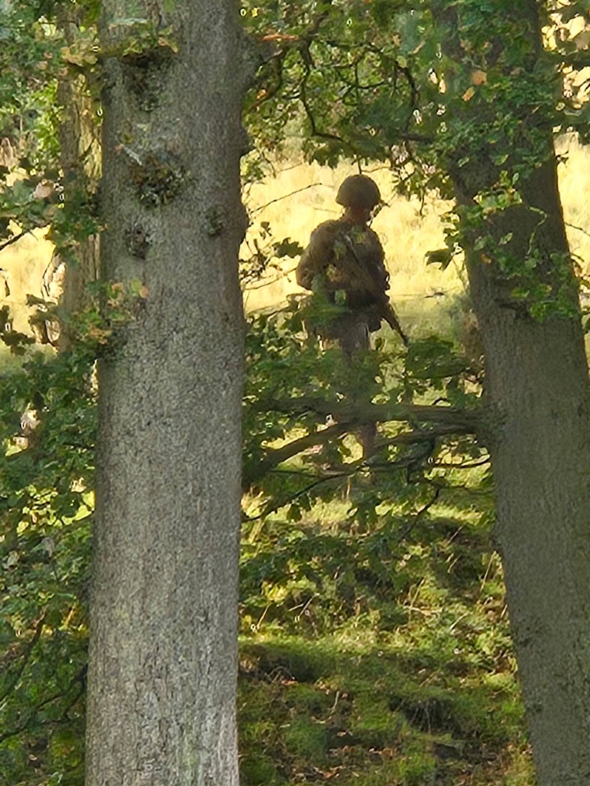 3rd Battalion Royal Anglian Regiment 3rd Battalion Royal Anglian Regiment