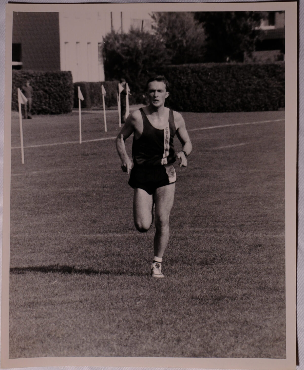 Royal Anglian Regiment Royal Anglian Regiment