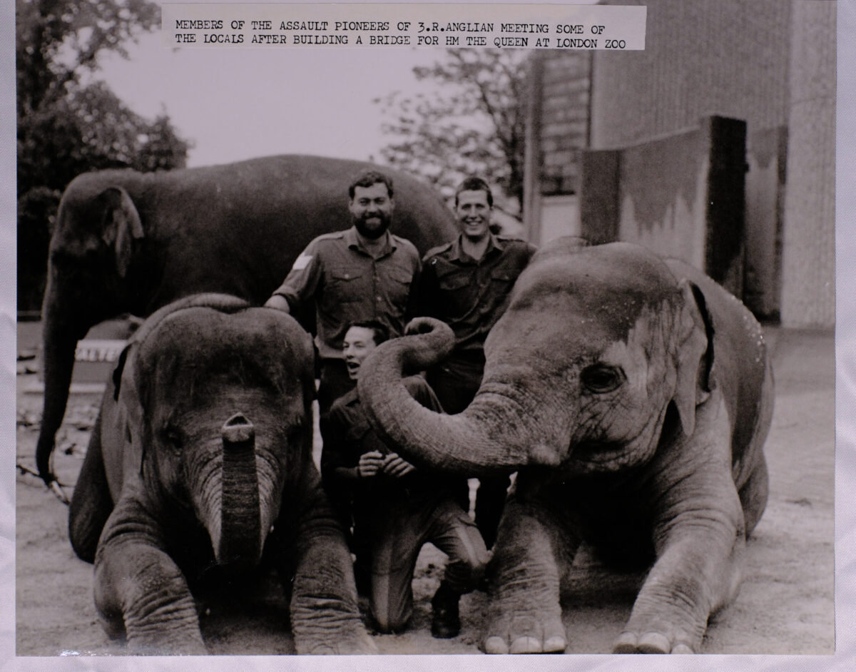 Royal Anglian Regiment Royal Anglian Regiment