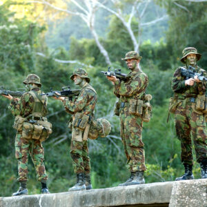 The 2nd Battalion, Royal Anglian Regiment, in Belize in February 2002. The 2nd Battalion, Royal Anglian Regiment, in Belize in February 2002.