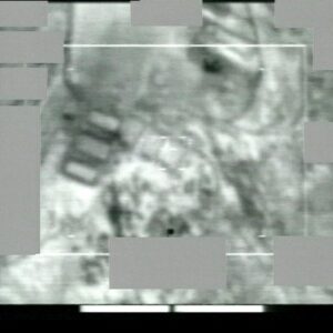 1st Battalion, Royal Anglian Regiment deployed to Kosovo in 1999