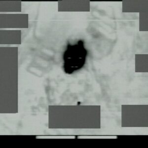 1st Battalion, Royal Anglian Regiment deployed to Kosovo in 1999