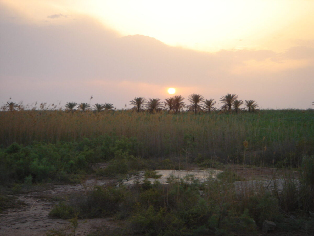 Operation TELIC 6 in 2005.