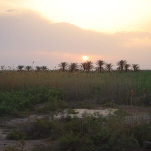 Operation TELIC 6 in 2005.