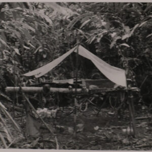 Malaya 1959-1962 East Anglian Regiment