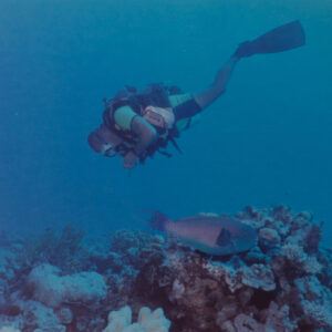 Royal Anglian Regiment Royal Anglian Regiment