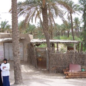 Operation TELIC 6 in 2005.