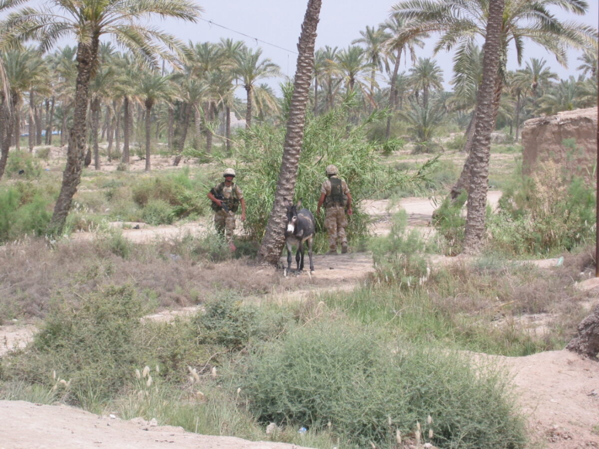 Operation TELIC 6 in 2005. 1st Battalion, Royal Anglian Regiment. 
