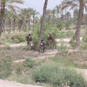 Operation TELIC 6 in 2005. 1st Battalion, Royal Anglian Regiment. Operation TELIC 6 in 2005. 1st Battalion, Royal Anglian Regiment.
