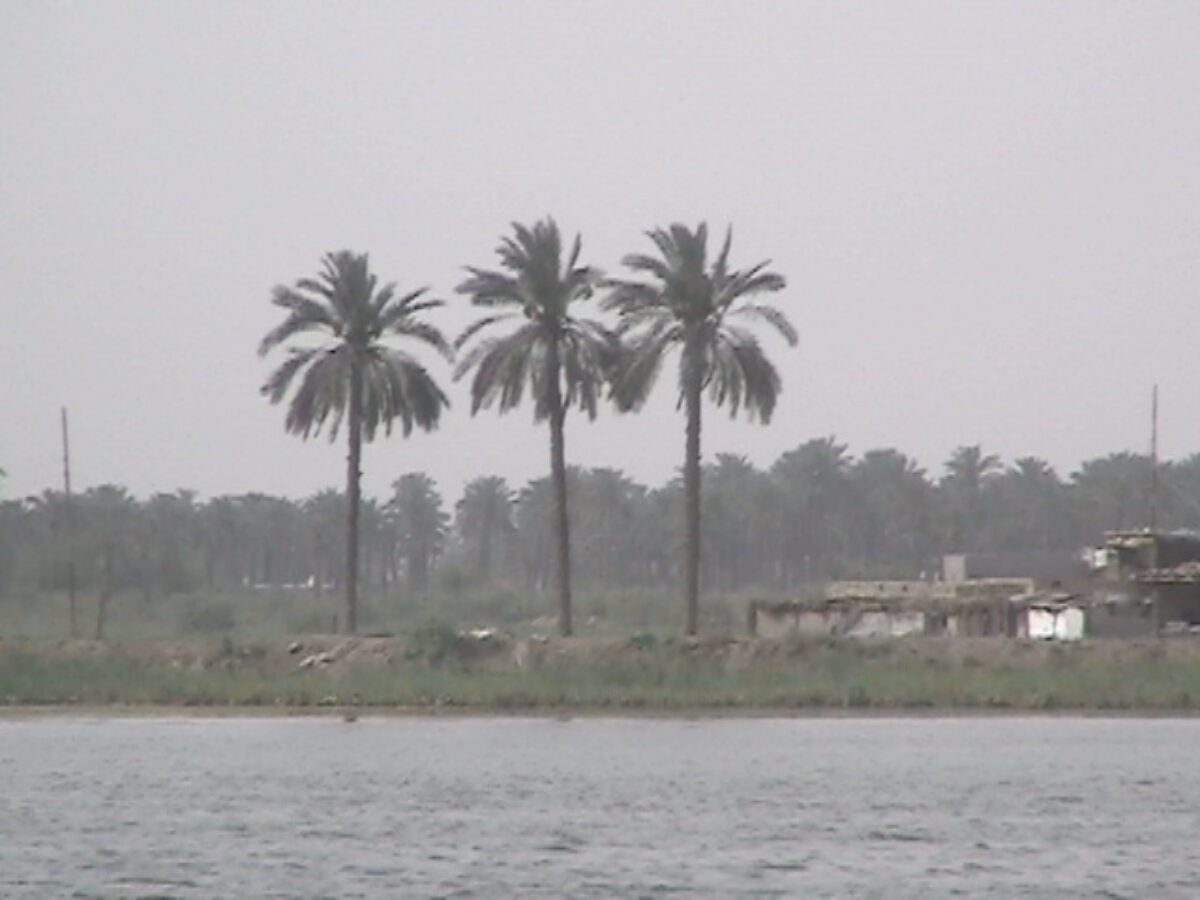 Operation TELIC 6 in 2005.