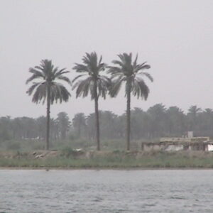 Operation TELIC 6 in 2005.