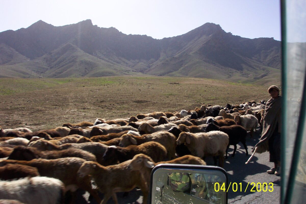 2nd Battalion Royal Anglian Regiment Afghanistan 2003. Operation FINGAL