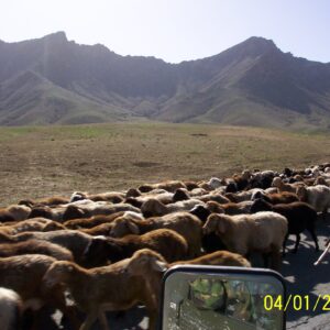 2nd Battalion Royal Anglian Regiment Afghanistan 2003. Operation FINGAL
