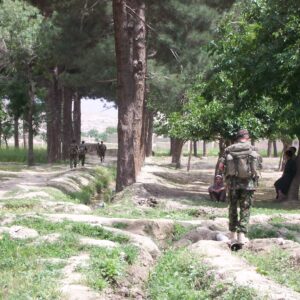 2nd Battalion Royal Anglian Regiment Afghanistan 2003. Operation FINGAL 2nd Battalion Royal Anglian Regiment Afghanistan 2003. Operation FINGAL