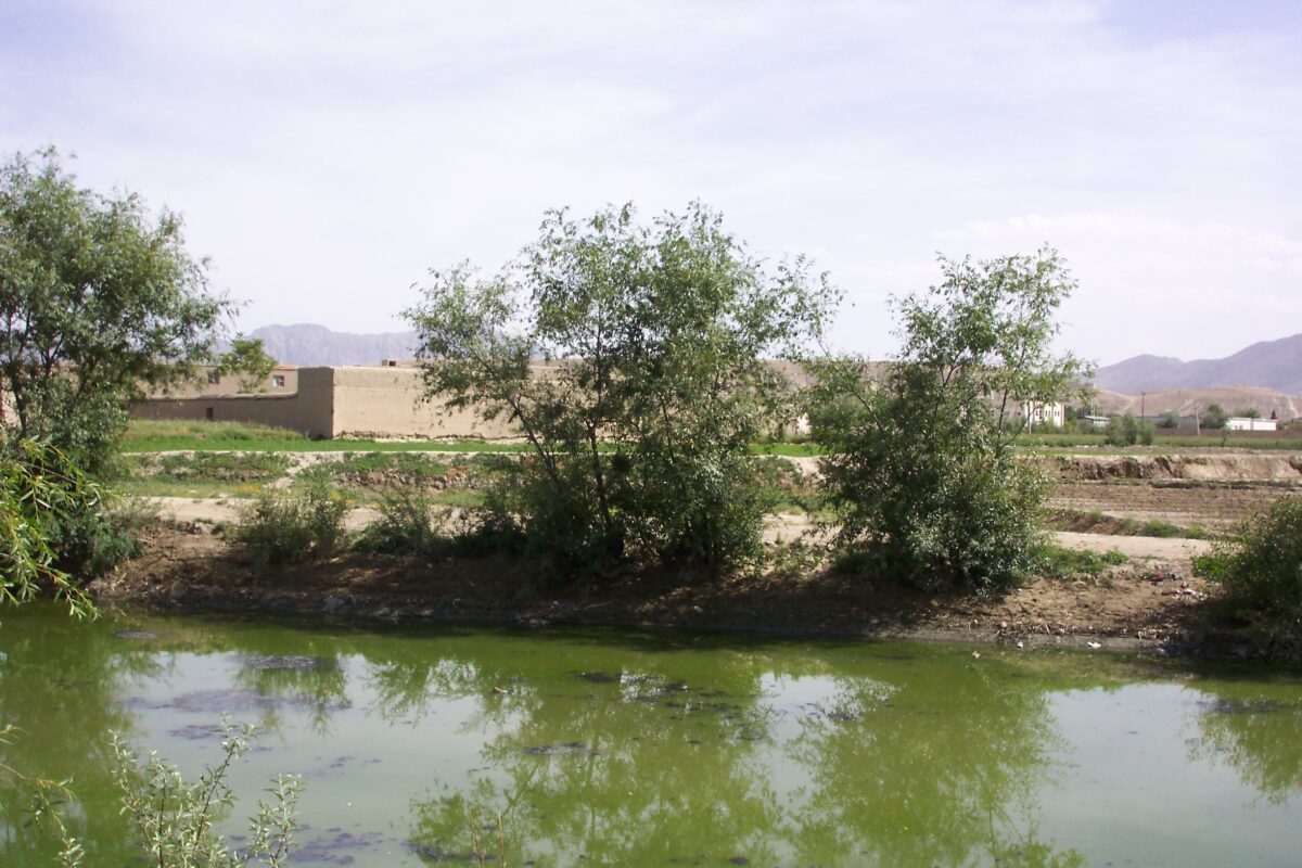 2nd Battalion Royal Anglian Regiment Afghanistan 2003. Operation FINGAL