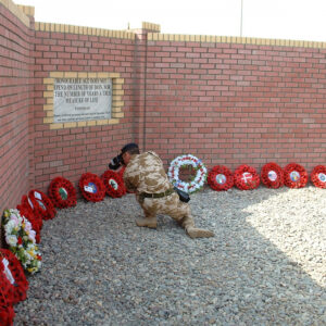2nd Battalion Royal Anglian Regiment Op Telic 2008 2nd Battalion Royal Anglian Regiment Op Telic 2008