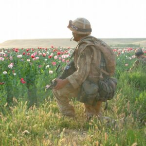 1st Battalion Royal Anglian Regiment Op TELIC, Iraq. 