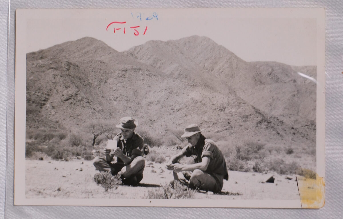 Royal Anglian Regiment