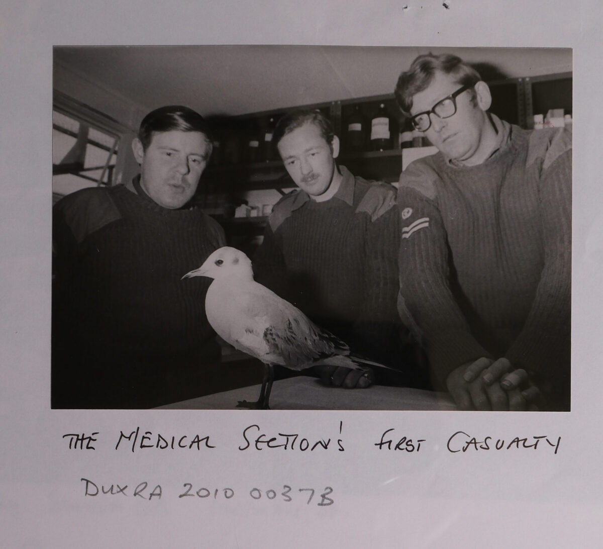 Royal Anglian Regiment