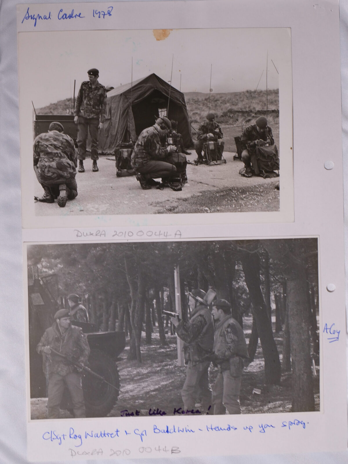 Royal Anglian Regiment Royal Anglian Regiment