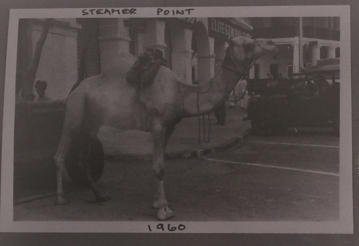 Royal Anglian Regiment Royal Anglian Regiment