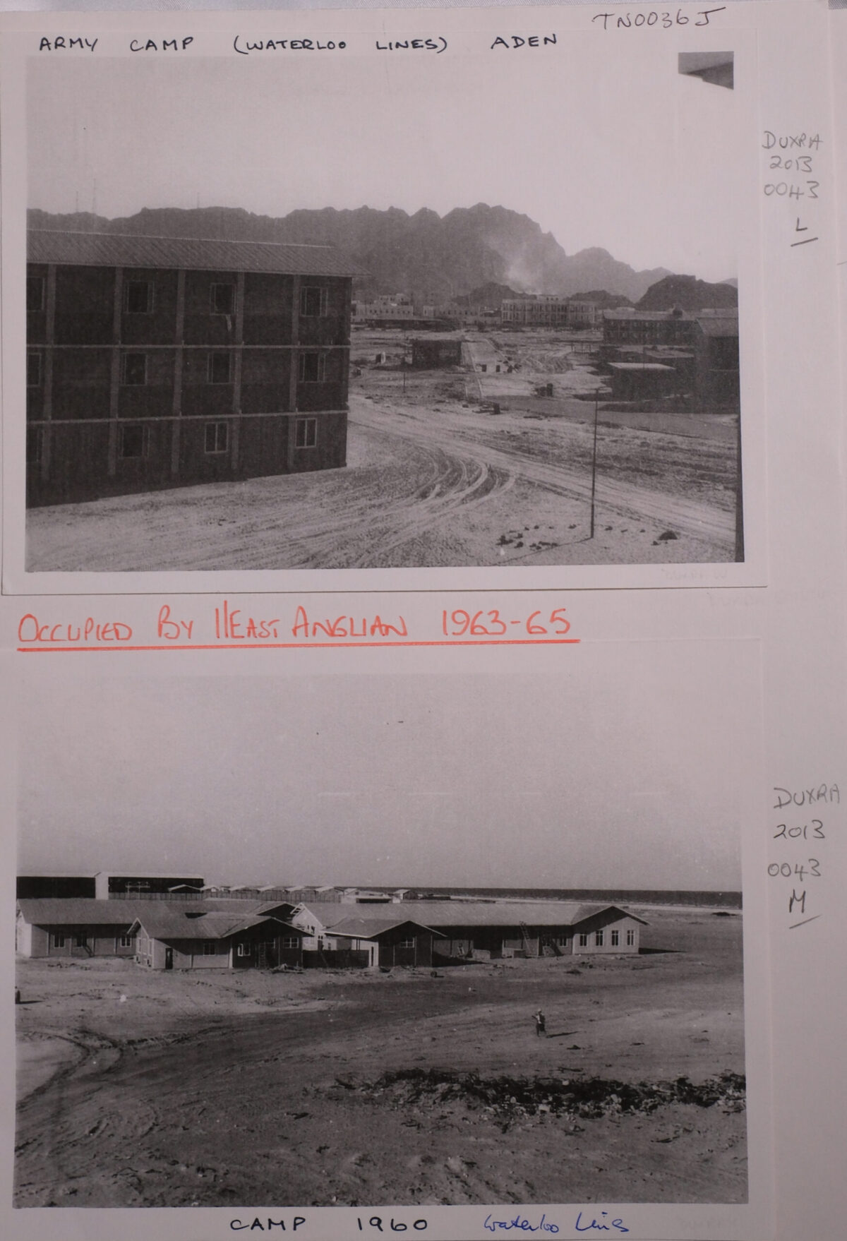 Royal Anglian Regiment