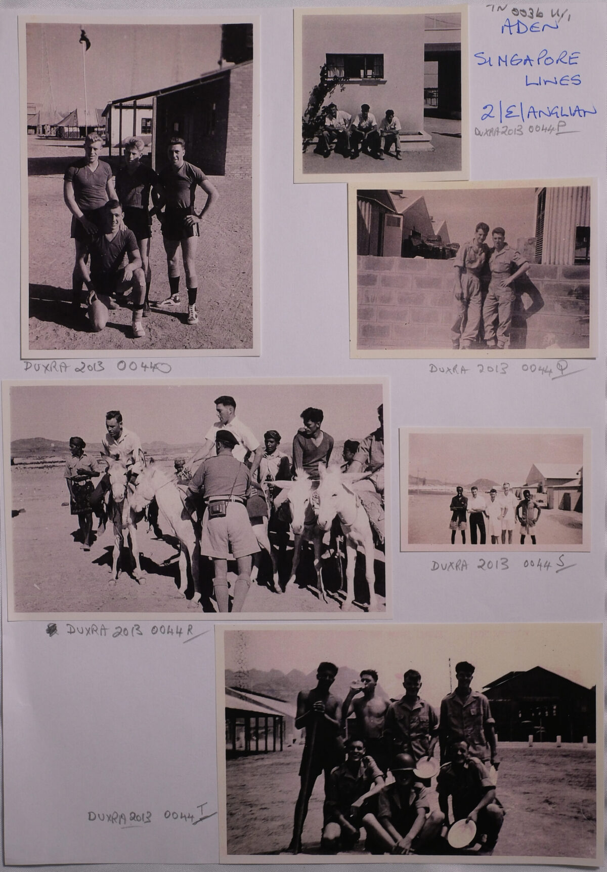 Royal Anglian Regiment