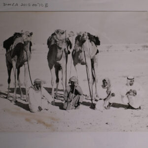 Royal Anglian Regiment