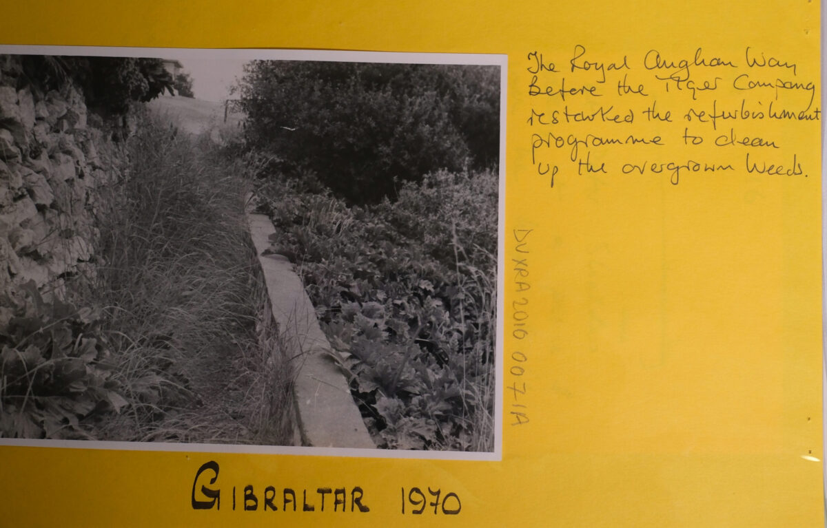 Royal Anglian Regiment