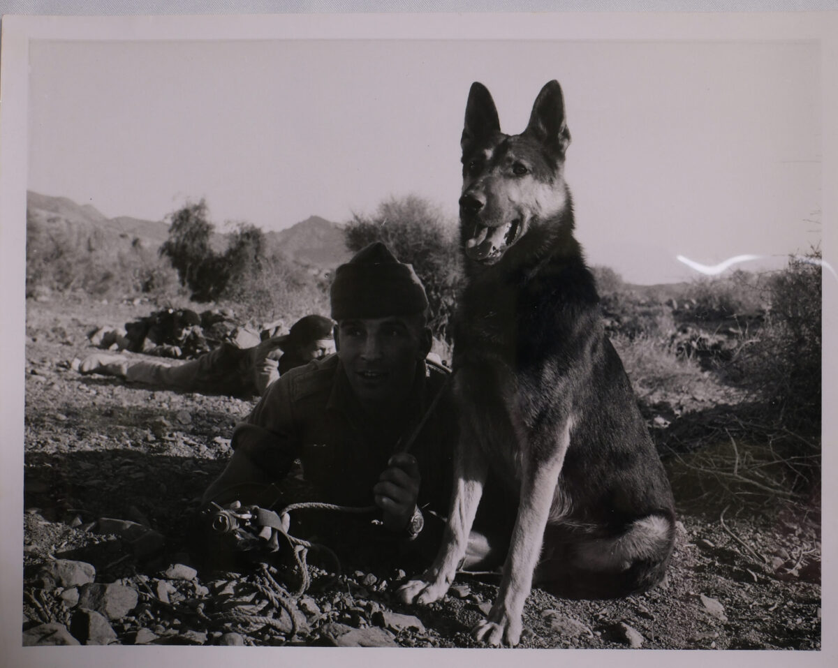 Royal Anglian Regiment