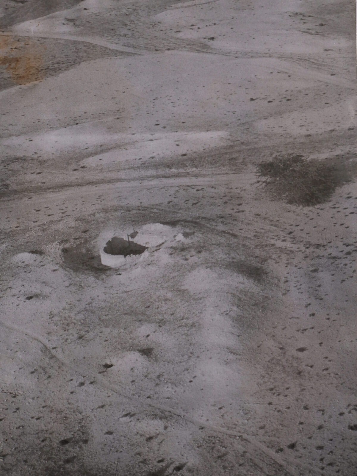 Royal Anglian Regiment