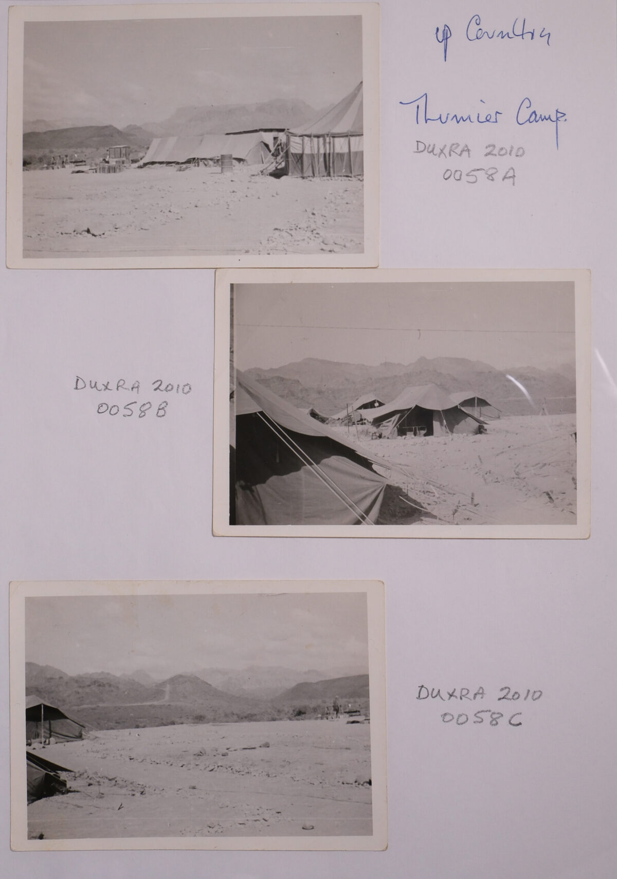 Royal Anglian Regiment