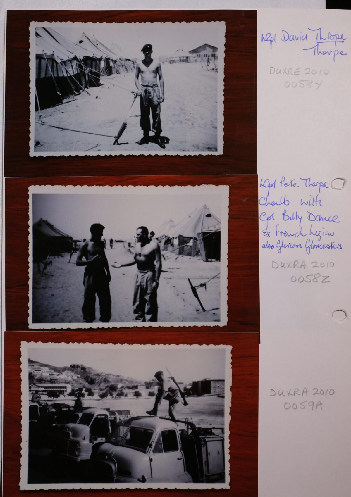 Royal Anglian Regiment Royal Anglian Regiment