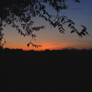 Royal Anglian Regiment