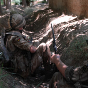 Royal Anglian Regiment Royal Anglian Regiment