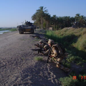 2nd Battalion, Royal Anglian Regiment on Op TELIC 8 in Iraq 2nd Battalion, Royal Anglian Regiment on Op TELIC 8 in Iraq