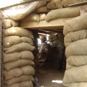 Royal Anglian Regiment