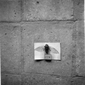 East Anglian Regiment