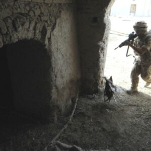 Royal Anglian Regiment Royal Anglian Regiment