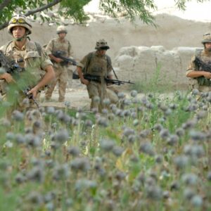 Royal Anglian Regiment Royal Anglian Regiment
