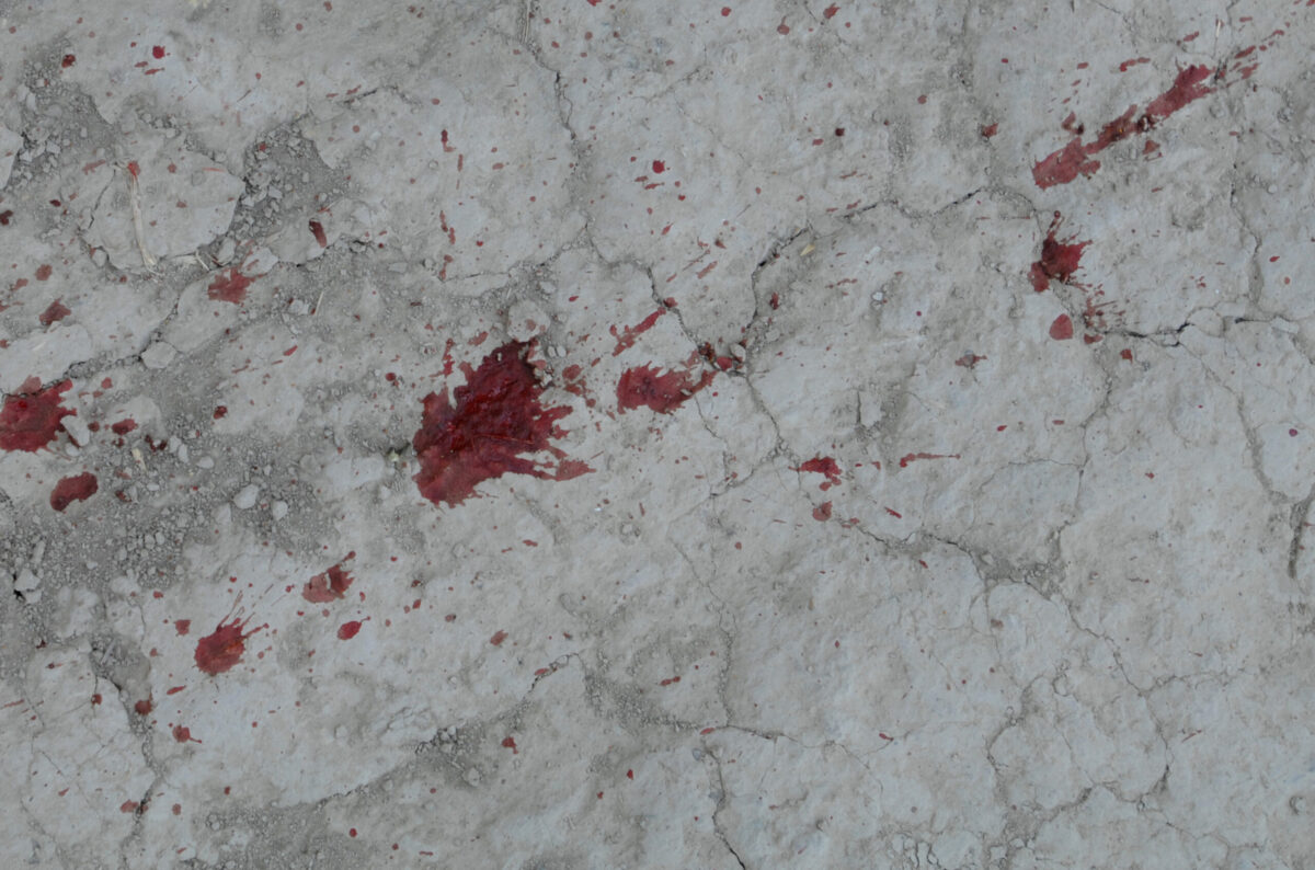 Royal Anglian Regiment