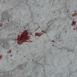 Royal Anglian Regiment