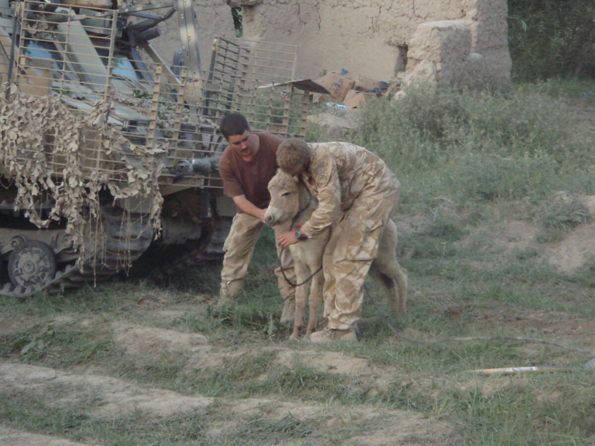 Royal Anglian Regiment Royal Anglian Regiment