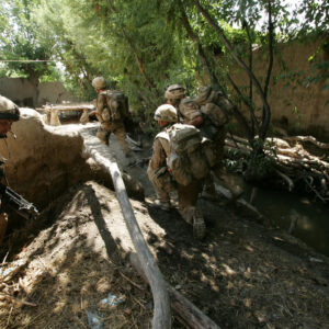 Royal Anglian Regiment Royal Anglian Regiment