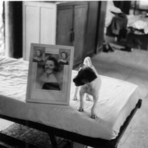 East Anglian Regiment