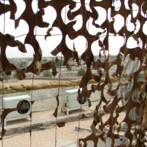 Royal Anglian Regiment