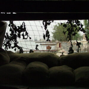 Royal Anglian Regiment