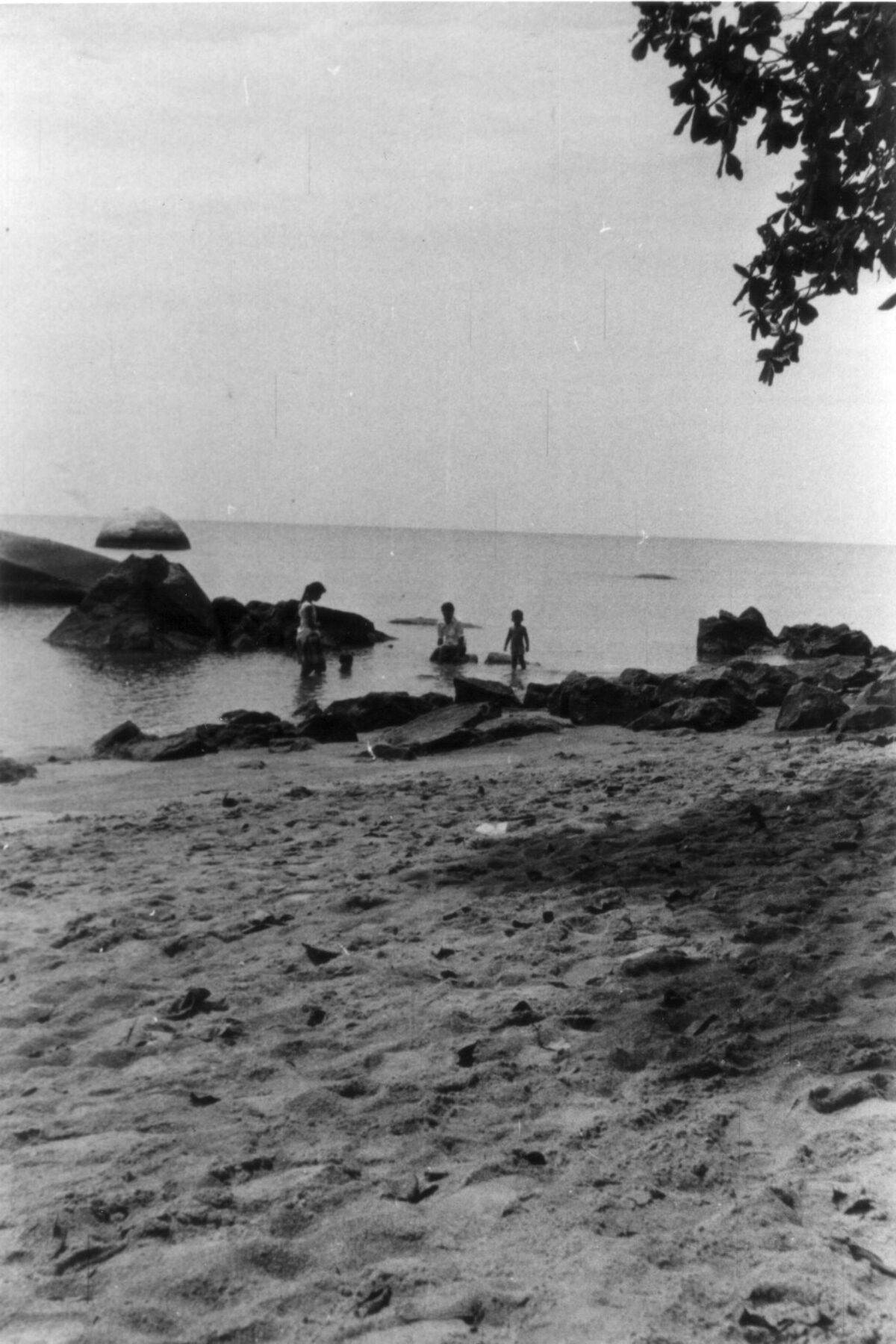 East Anglian Regiment